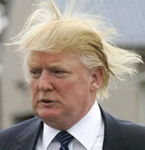 donald with flying hair